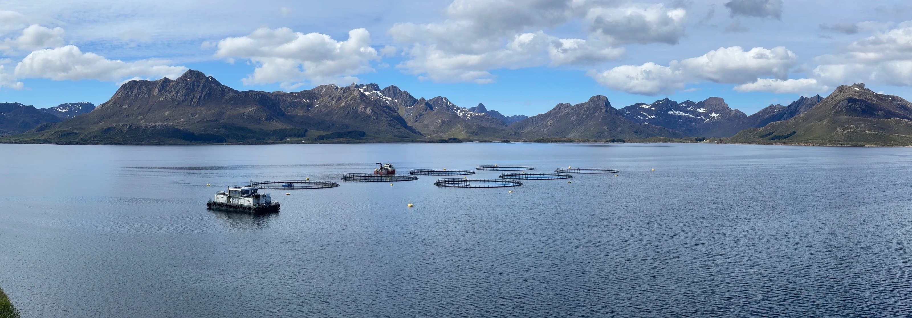 Havbruksanlegg i norsk fjord