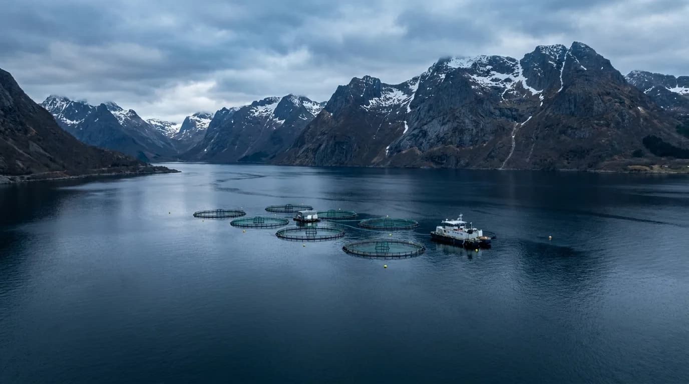 Oppdrettsanlegg i norsk fjord